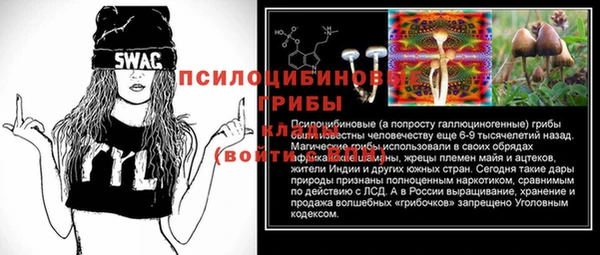 эйфоретик Нестеровская