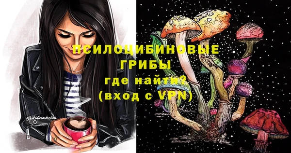 a pvp Киренск